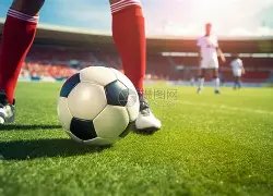 朱婷留国内,最为稳妥,天津女排成,南宫28NG娱乐,南宫28NG娱乐官网,南宫28NG娱乐官网玩家首选