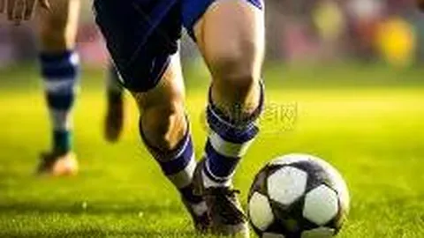 南宫娱乐 资讯 144104 xpy