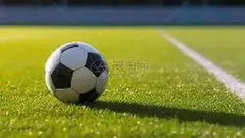 南宫娱乐 资讯 144228 5ph